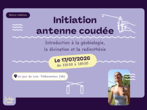 initiation antenne radiesthesie