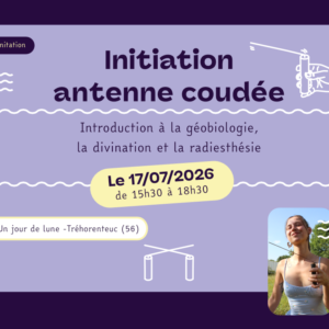 initiation antenne radiesthesie